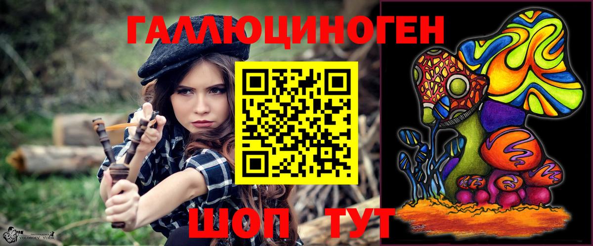 как найти наркотики  Галлюциногенные грибы GOLDEN TEACHER  Махачкала  Вход с VPN  Псилоцибиновые грибы ЛСД 