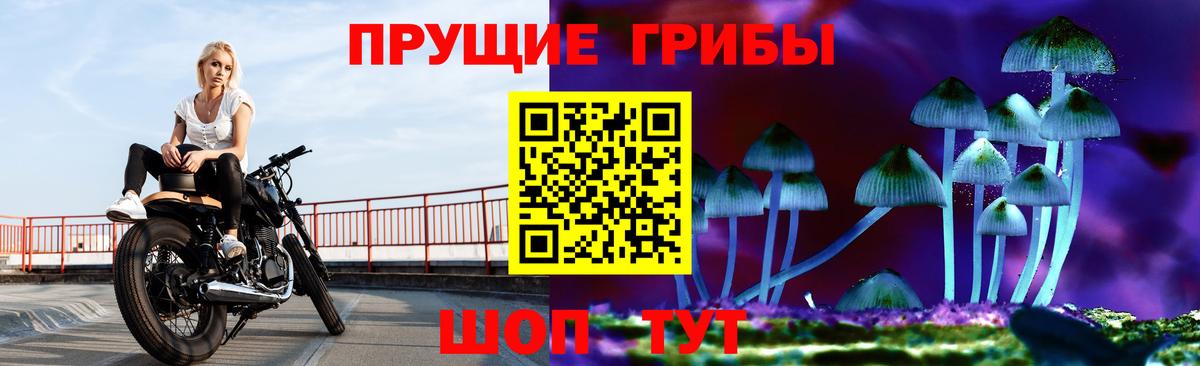 Псилоцибиновые грибы Psilocybine cubensis Махачкала